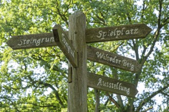 Old signpost, Wilsede, Bispingen, Lüneburg Heath, Lower Saxony, Germany, Europe