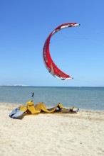 Red sail of kitesurfer kite surfer kite surfer standing close to viewer in the air above beach