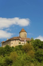 Reichenberg Castle, Staufer castle complex, hilltop castle, historical building, built between 1230