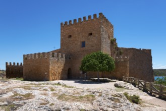 Medieval castle with high stone walls and towers, surrounded by a tree and clear sky, Castillo de