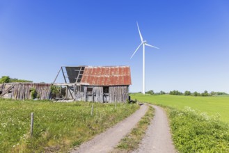 Old demolished barn by a dirt road with a wind turbine on green fields in the countryside