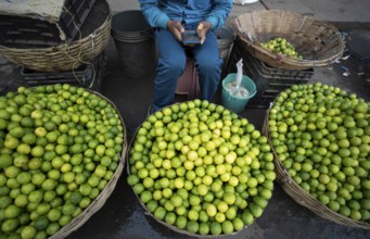 Vendor selling lemons at a market, ahead of the presentation of the Interim Budget 2024 by Union