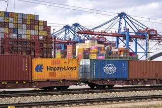 Port of Hamburg, Waltershofer Hafen, container ships, goods train brings and collects freight