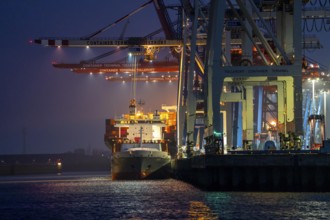 Container terminal Tollerort, container ships are loaded and unloaded, one of 4 container terminals