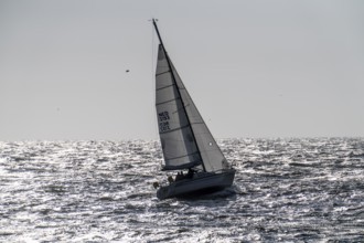 Sailing boat leaves the harbour of Scheveningen, Netherlands