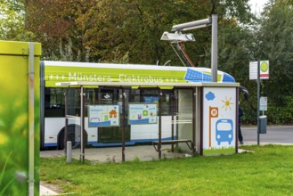 Electric bus from Stadtwerke Münster, at a fast charging station, bus stop, Dieckmannstrasse bus