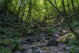 The Rastenbach Gorge near the village of Kaltern, in the Adige Valley in South Tyrol, Italy, Europe