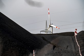 Coal stockpile, coal storage, power station coal, for the STEAG Herne thermal power station, wind