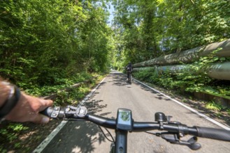 Cycling in the Ruhr area, Lothringentrasse, in the north of Bochum, Bochum-Grumme, former railway