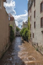 River Queich between houses, Landau, Palatinate, Rhineland-Palatinate, Germany, Europe