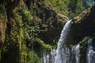 Sendang Gile waterfall, nature, landscape, flowing, river, fresh, clear, clean, environment,