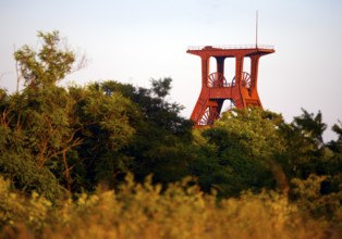 Pluto spoil tip with vegetation and the double trestle above shaft 3 of Pluto colliery, Herne, Ruhr