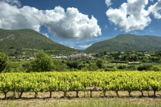 Venterol village near Nyons and its vineyards in Drôme Provençal. Drôme. Auvergne-Rhone-Alpes.