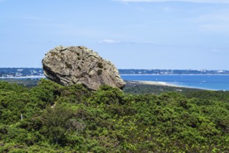 Agglestone Rock, Devil's Anvil, Studland, Dorset, England, United Kingdom, Europe