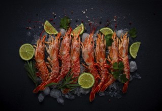 Langoustines, Australian, freshly frozen on ice, top view, lime and greens