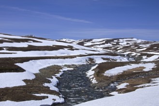 Borgafjäll, Borgafjaell in Jämtland, northern Sweden