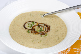 Swabian cuisine, green spelt soup, healthy, vegetarian, regional, soup served in soup plates,