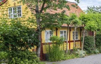 Typical half-timbered yellow house in Gudhjem, Bornholm, Baltic Sea, Denmark, Scandinavia, Europe