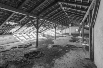 Lost Place, Abandoned attic with wooden roof beams and shadows, Lastovo, Neretva, Croatia, Europe