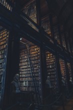 Library of Trinity College, Dublin