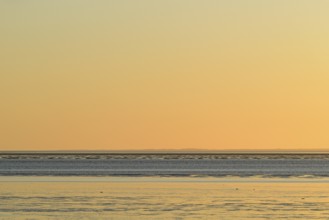 Wadden Sea at low tide in the evening light, North Sea, Norddeich, Lower Saxony, Germany, Europe