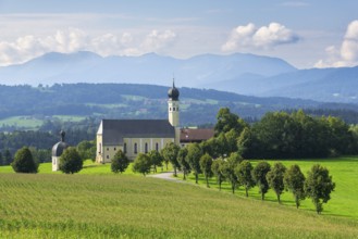 Pilgrimage church of St Marinus and Anian in Wilparting, cornfield, avenue, municipality of