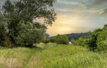 Border area between Germany and Poland, Lower Oder Valley National Park, Brandenburg, Germany,