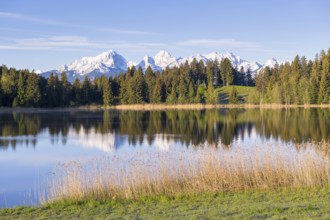 Hegratsrieder See near Füssen, Allgäu Alps, snow, Allgäu, Bavaria, Germany, Europe