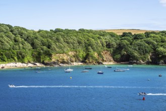 Boats and Yachts on Kingsbridge Estuary in Salcombe and Mill Bay, Batson Creek, Southpool Creek,