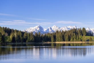 Hegratsrieder See near Füssen, Allgäu Alps, snow, Allgäu, Bavaria, Germany, Europe