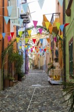 Decorated alley and colourful houses, feast of the Madonna of Regnos Altos, Bosa, district of