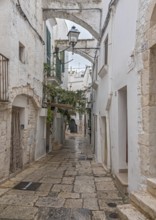 Narrow alley with historic stone buildings and quiet Mediterranean atmosphere, Cisternino, Apulia,