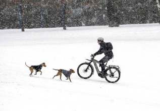 A man with an e-bike is accompanied by two dogs in a snowy park, Berlin, 09/02/2021