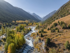 Aerial view, mountain stream Ala Archa flows through the Ala Archa valley, autumnal mountain