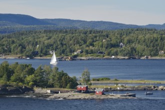 A sailboat sails on calm water, past a small island with forest and houses in the peaceful evening