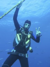 Diver on safety stop at anchor line, dive site wreck of the Thistlegorm, Red Sea, Egypt, Africa