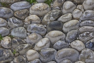 Large round stones lined up close together, predominantly grey tones, some plants in the