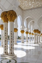 Sheikh Zayed Grand Mosque Abu Dhabi in Abu Dhabi, United Arab Emirates, Asia