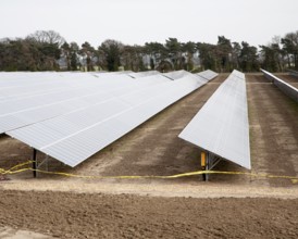 Solar array of photovoltaic panels in a large new solar park at Bucklesham, Suffolk, England,