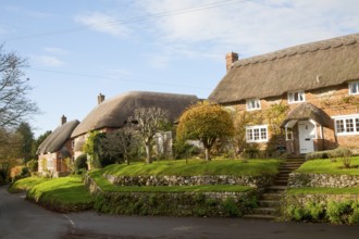 Attractive traditional thatched cottages in village of Woodborough, Wiltshire, England, UK