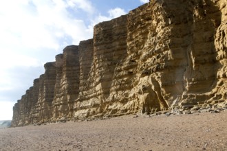 Sandstone cliffs and beach West Bay, Bridport, Dorset, England, UK