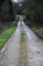 Long narrow winding tarmac country road in winter Sutton, Suffolk, England, UK