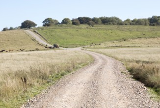 Sidbury Camp or Sidbury Hill Iron Age hill fort, Haxton Down, near Everleigh, Wiltshire, England,