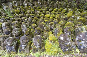 Moss-covered stone statues of rakans, the disciples of Buddha, Otagi Nenbutsu-ji temple, Kyoto,