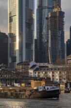 Skyline of the city centre of Frankfurt am Main, river Main, Eiserner Steg bridge, freighter, dusk,