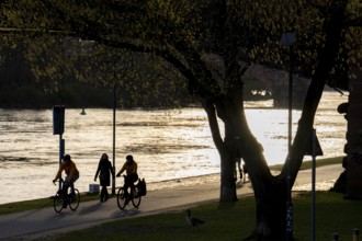 Bank of the Main in Frankfurt, Spring, Hesse, Germany, Europe