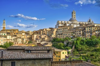 View of old town centre with cathedral, Siena, Tuscany, Italy, Europe