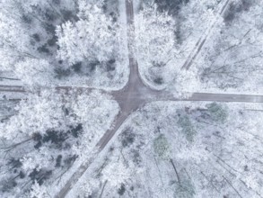 Drone view of snowy forest paths crossing each other, Gechingen, Black Forest, Germany, Europe