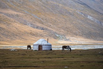 Yurt and horse in the mountains, barren landscape, Burkhan Valley, Tien Shan, Issyk Kul Province,