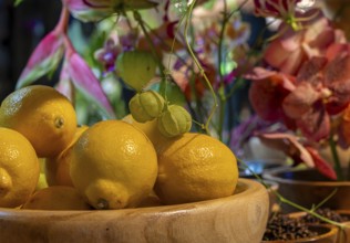 Artistic flower arrangements and decorations, German Floristry Championships, Berlin, Germany,